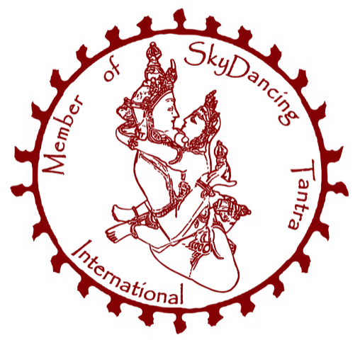 Skydancing logo Skydancing logo